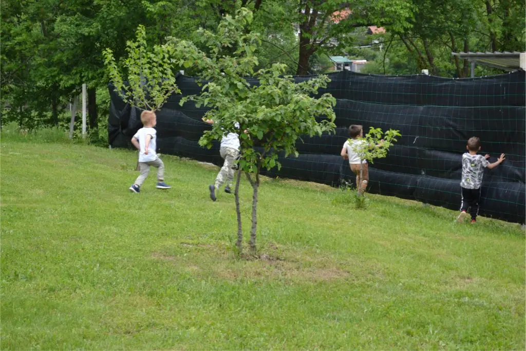 Campi estivi La Fragolina - Kung Fu Camp