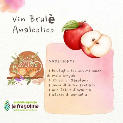 vin-brule-ingredienti