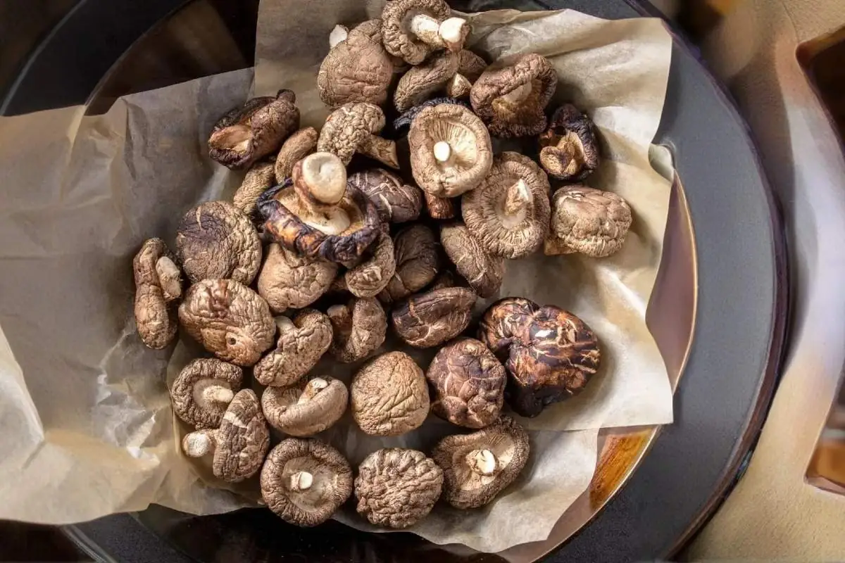 cesto di funghi shiitake